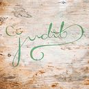 Judit Disseny Gràfic (lettering cursivo). Projekt z dziedziny Projektowanie logot, pów, T i pografia użytkownika Judit Vilardosa Bové - 09.10.2018