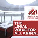 The Legal voice for all Animal. Un proyecto de Animación, Animación 3D y Motion Graphics de Aitor Perez-Cuadrado Hedström - 08.10.2018