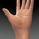 Textured hand. Un proyecto de 3D de Juanita rubio - 13.02.2017