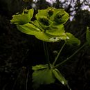 ¡Click! Naturaleza. Un projet de Photographie de Liseth G.L. - 10.10.2018