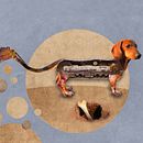 Máquinas animales. Een project van Traditionele illustratie van Nadine Foertsch - 28.10.2018