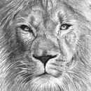 Dibujo. Drawing, and Pencil Drawing project by Giovanna Geremia - 10.29.2018
