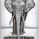 Ilustración con microfibra sobre papel obra 240gr. 23x30 cm.. Een project van Traditionele illustratie van Benjamín Escalante - 30.10.2018