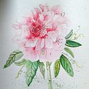 Acuarelas Ein Projekt aus dem Bereich Artistische Zeichnung und Traditionelle Illustration von Carla Perrotta - 31.10.2018