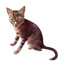 ANIMALS. Un progetto di Illustrazione digitale e Illustrazione tradizionale di Yeray Aranega - 05.11.2018