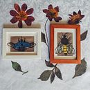 Retratos de insectos. Projekt z dziedziny  Haft użytkownika Edwin Eduardo De La Rosa López - 07.11.2018