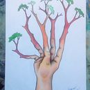 Nosotros también florecemos, tenemos nuestros cimientos, nuestro mayor potencial, generando cosas nuevas. Dibujo a lapiz, pintado con lápices de colores y luego remarcando las líneas.. Projekt z dziedziny Animacje 2D,  Sztuki piękne, Kreat, wność,  R, sunek, R, sunek ołówkiem,  R, sunek art, st, czn, R, sunek realist, czn, Design, Trad, c i jna ilustracja użytkownika Fernando Correa Fernández - 07.11.2018