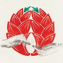 M A G N O L I A. Un proyecto de Bellas Artes, Concept Art, Creatividad, Dibujo e Ilustración tradicional de Cristina Camazón Herráez - 09.11.2018
