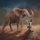 Restoring. Een project van  Concept art van Maria Cinalli - 13.11.2018