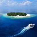 Submaldives by Creactivitat. Creative Consulting, Web Development, Graphic Design, and Web Design project by Creactivitat - 11.15.2018