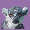 LowPolly Lemur. Un projet de Créativité, Dessin, Illustration traditionnelle, Illustration numérique et Illustration vectorielle de Duvan Camilo Cruz Parra - 18.11.2018