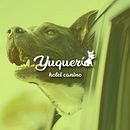 Yuquerí hotel canino (isologo). Design project by Alvaro Cardozo - 11.19.2018