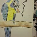 Mi Proyecto del curso: De principiante a superdibujante . Desen de Daniel Gamboa - 11.26.2018