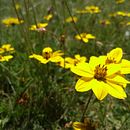 paisaje Ein Projekt aus dem Bereich Fotografie und Smartphonefotografie von Arnold Balabarca - 30.11.2018