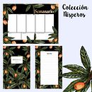 Colección Nísperos. Projekt z dziedziny Trad, c i jna ilustracja użytkownika Paula Milazzo - 03.12.2018