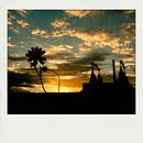 Circus. Fotografia com celular projeto de Faby Peña Botello - 31.08.2018