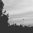 Tristeza . Fotografie mobilă de Abigail Macario - 12.10.2018