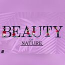 Nature typography. Un progetto di Calligrafia, Creatività e Graphic design di Ivan Alberto - 11.12.2018