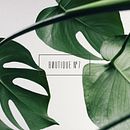 Boutique n7. Br, ing, Identit, Art Direction, and Editorial Design project by Azote - 01.01.2017