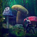 Mi Proyecto del curso: Secretos del fotomontaje y el retoque creativo. Een project van 2D-animatie, Collage,  Ontwerp, Grafisch ontwerp,  Scenografie, Digitale marketing y Retoucheren van foto's van Alejandro Alia - 14.12.2018