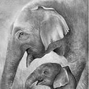 Ilustración científica. Un proyecto de Dibujo a lápiz, Dibujo realista, Ilustración tradicional y Pintura a la acuarela de Ailin Amondaray - 14.12.2018