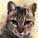 Retratos de mascotas. Un proyecto de Ilustración tradicional y Pintura de Ailin Amondaray - 14.12.2018