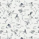 Imaginary Constellation. Een project van  Tekening,  Artistieke tekening, Ontwerp van accessoires,  Modeontwerp, Patroonontwerp y Traditionele illustratie van Noelia Portilla - 16.12.2018
