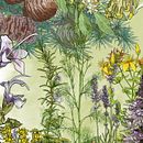 ilustraciones para : Hidrolatos: Aromaterapia con aguas esenciales y medicinales. Drawing, Artistic Drawing, Traditional illustration, and Digital Illustration project by Dolors Quiles Giner - 01.04.2019