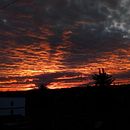 Naranja  . Fotografie mobilă de Abigail Macario - 12.19.2018