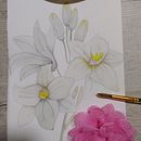 Mi Proyecto del curso: Técnicas aplicadas de ilustración en acuarela . % Jehisson Avila Santiago tarafından hazırlanan Güzel sanatlar projesi - 04.11.2021