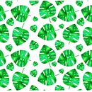 Mi Proyecto del curso: Diseño de estampados textiles-Monstera Deliciosa. Un proyecto de Pattern Design de Rosana Garcia Torrelles - 29.12.2018