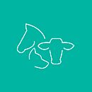 Diseño Grafico - Poliana Menestrina. Un projet de Création de logos , et Design graphique de Jaciara Busarello - 11.05.2019