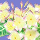 Mi Proyecto del curso: Ilustración botánica con acuarela. Un progetto di Illustrazione tradizionale di Zully Hernández - 30.12.2018