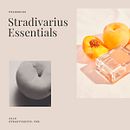 Esenciales de Stradivarius | Embalaje. Un proyecto de Dirección de arte, Diseño gráfico y Packaging de Andrea Arqués - 31.12.2018