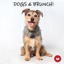 Dogs & Brunch Ein Projekt aus dem Bereich Kreative Beratung, Designverwaltung und Marketing von Diego Saca Palao - 07.01.2019