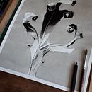 Mi Proyecto del curso: Introducción a la ilustración con tinta china. Ilustração tradicional projeto de caudapodo - 05.01.2019