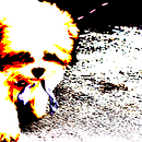 Sesión fotográfica a 'Kitsune', el perro.. Projekt z dziedziny Fotografia i Fotografia portretowa użytkownika Nat Jesús Bolívar - 10.01.2019