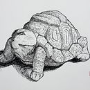 Mi Proyecto del curso: De principiante a superdibujante. Un projet de Illustration traditionnelle de Claudio Stepffer - 12.01.2019