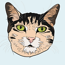 Cat. Een project van Traditionele illustratie y Vectorillustratie van Anna Garcia Pares - 30.01.2012