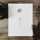 Mi Proyecto del curso: Fotografía profesional para Instagram . % Susy Pérez tarafından hazırlanan Reklamcılık projesi - 01.16.2019