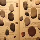 Problemas de variable compleja (2018) . % Sara Alvarez tarafından hazırlanan Animas, Ve on projesi - 01.16.2019