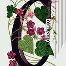 Contenedores. Ilustração digital e Ilustração vetorial projeto de Laura Orcera Perez - 18.01.2019