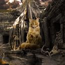 Mi Proyecto de: Secretos del fotomontaje y el retoque creativo. Een project van  Creativiteit van Yaiza Fdz Arnal - 20.01.2019