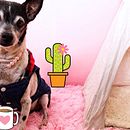 Mi Proyecto del curso: Fotografía profesional para Instagram. Een project van Mobiele fotografie y Portretfotografie van Maria Bohorquez Quintanilla - 29.01.2019