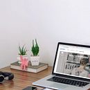 Hombex.com. Un projet de Br, ing et identité, Design graphique, Webdesign, Cop, writing, Créativité, Marketing digital , et Réseaux sociaux de elena_errequeerre - 15.07.2017
