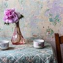 "LA CASA DE LES FLORS". Een project van Fotografie van Marina López - 31.01.2019