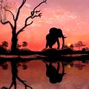 África . Ilustrație tradițională și Arhitectură peisagistică de aplanas86 - 02.03.2019