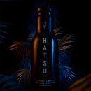 Hatsu Black Jugle. Un proyecto de 3D, Diseño de producto y Escenografía de Alejandro Herrada González - 06.02.2019