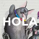 Hola!. Un progetto di Belle arti di Marcela Vasquez - 10.01.2019