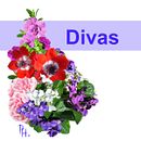 Divas. Un projet de Collage, Design , Photographie, Photographie de portrait, Illustration numérique , et Retouche photographique de Laura Vázquez Torrescusa - 11.02.2019